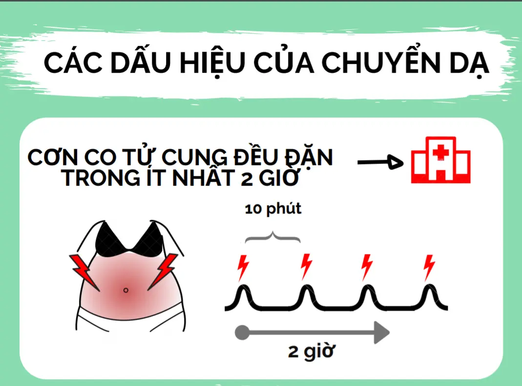 Cac-dau-hieu-cua-chuyen-da-1